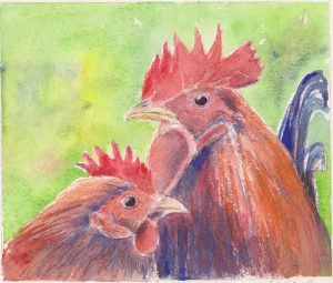 Hahn und Henne 001 - Kopie